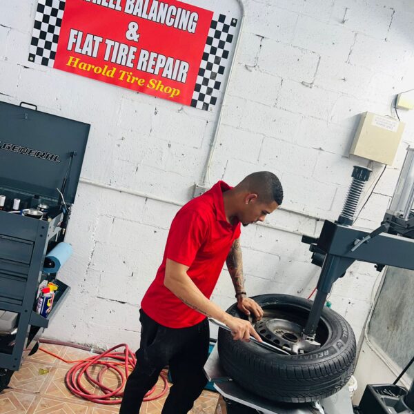 WhatsApp Image 2024-07-19 at 12.27.30 PM